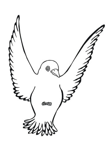 Black Bird Coloring Page